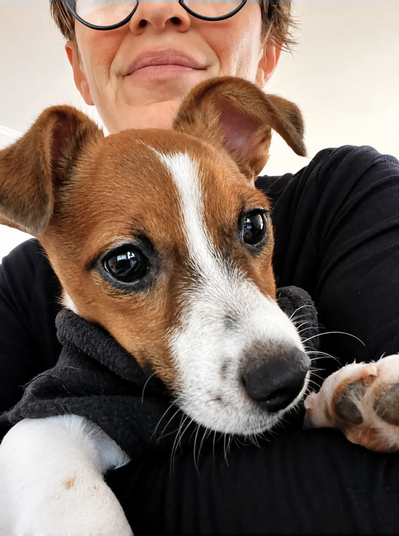 A Pawradise host holding a happy Jack Russell at home in Pinelands